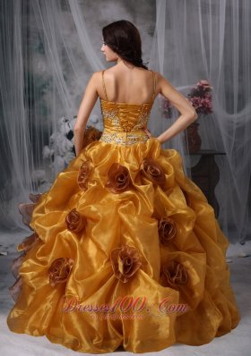 Brown Ball Gown Straps Organza Beading Quinceanera Dress